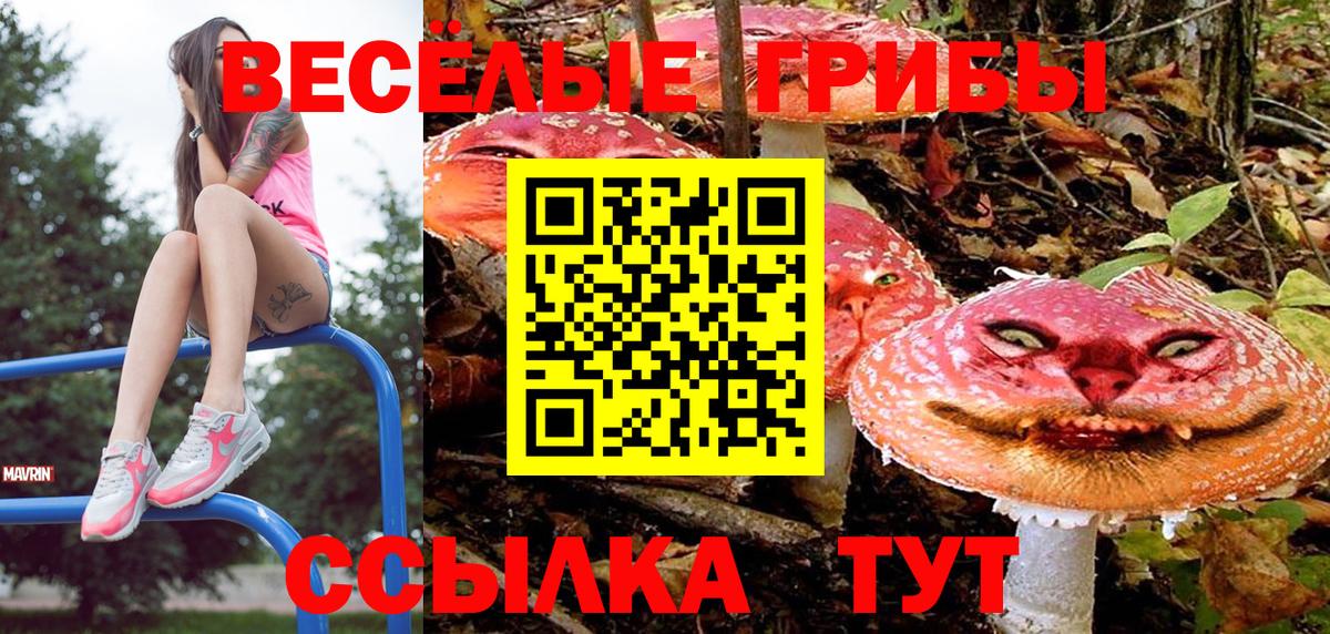 Псилоцибиновые грибы GOLDEN TEACHER Норильск
