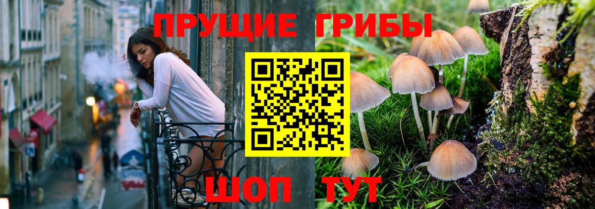 Псилоцибиновые грибы Psilocybine cubensis  Вход с VPN  Галлюциногенные грибы мухоморы  Норильск 